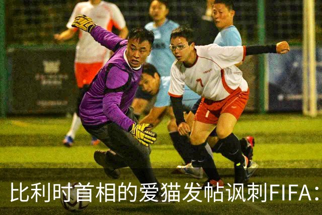 比利时首相的爱猫发帖讽刺FIFA：“红牌？”我照样继续踢！